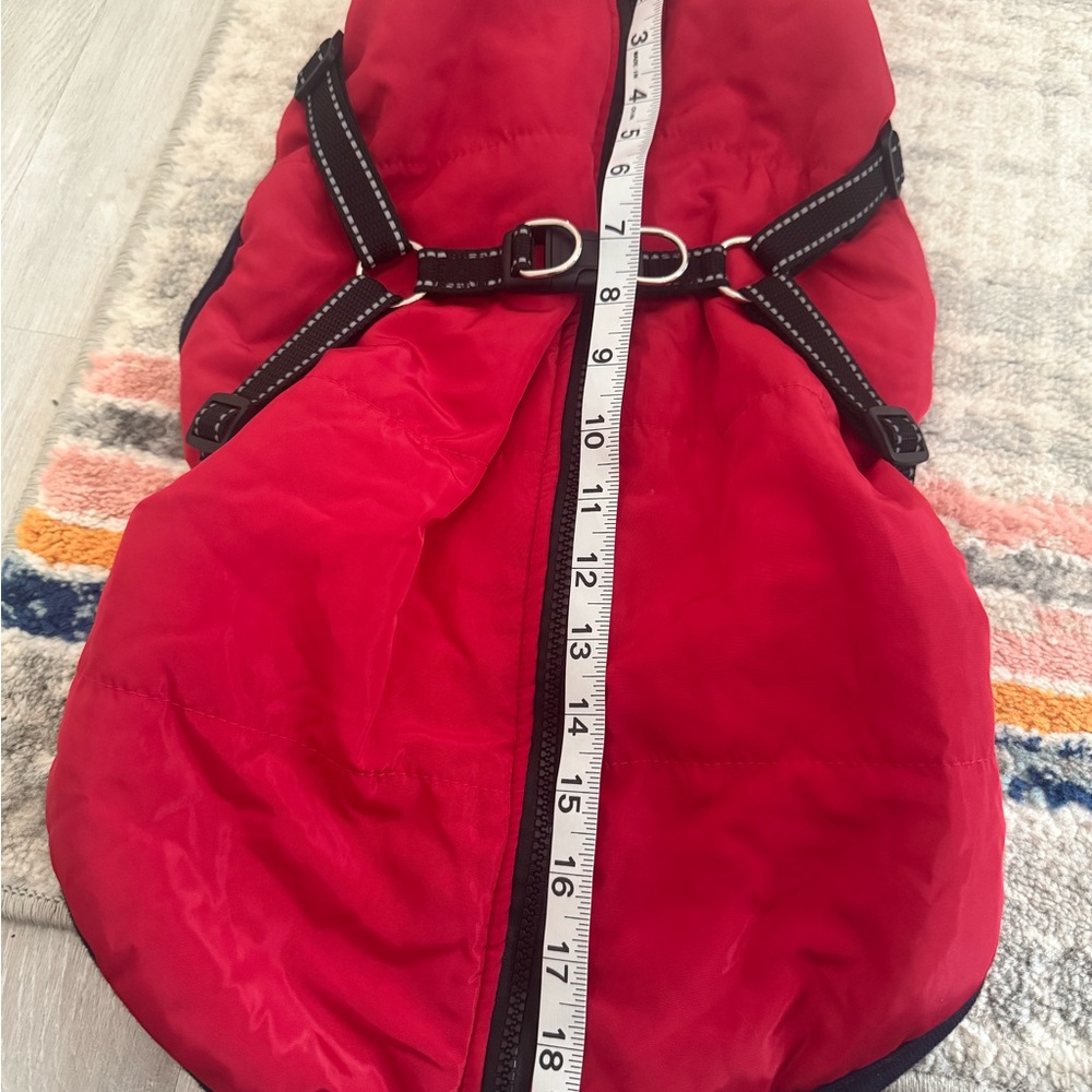 Red Dog Jacket with Black Trim